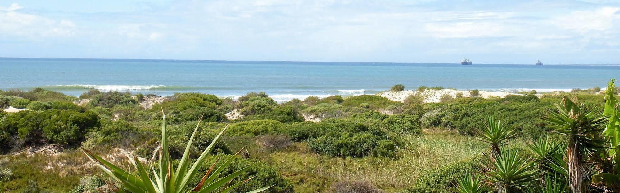 House Haven Guesthouse Port Elizabeth Exterior foto